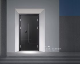 高端艺墅入户门SLD-墨年